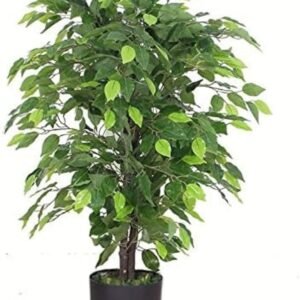 Leaf LEAF - 7088 Design UK 90cm Artificial Ficus Tree