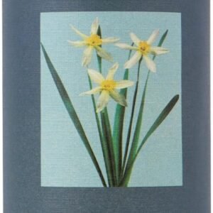 COCORRÍNA Raumduft Nachfüller 200ml, Cashmere Vanilla, Langanhaltender Duft mit natürlichen ätherischen Ölen, Erfrischender und beruhigender Raumduft für Wohnzimmer, Schlafzimmer und Badezimmer