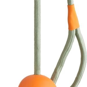 Beco Hundespielzeug - Naturkautschukball an einem Seil Spielzeug für Hunde - Orange